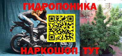 шишки Старая Купавна