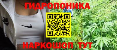 шишки Старая Купавна