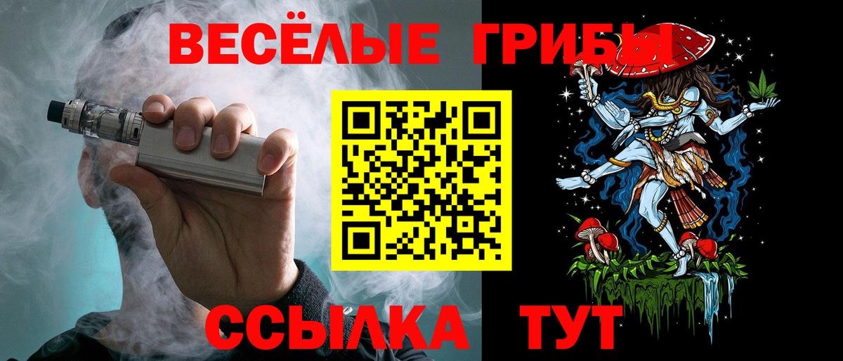 Галлюциногенные грибы Psilocybe Минеральные Воды