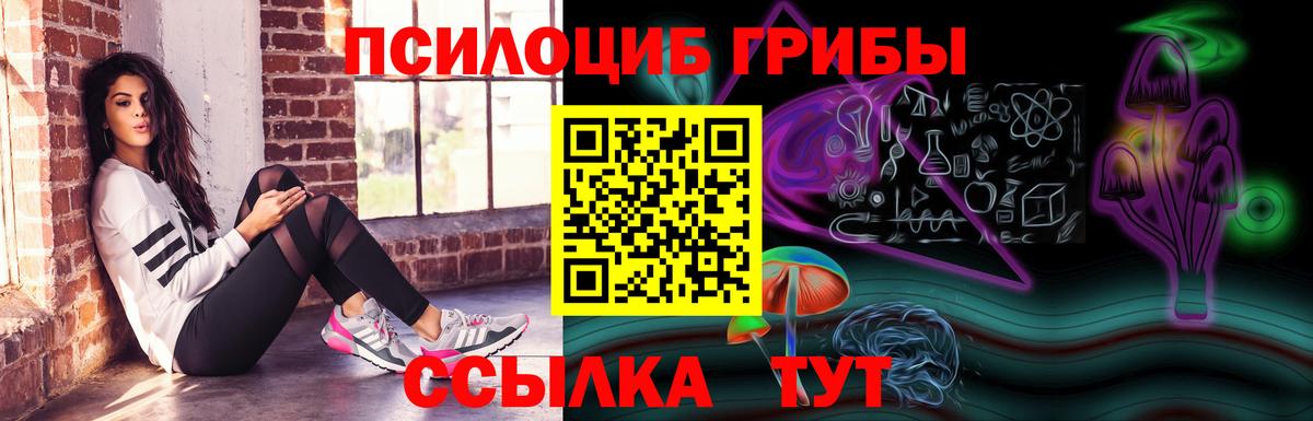 Псилоцибиновые грибы прущие грибы  Вход с VPN  Минеральные Воды 